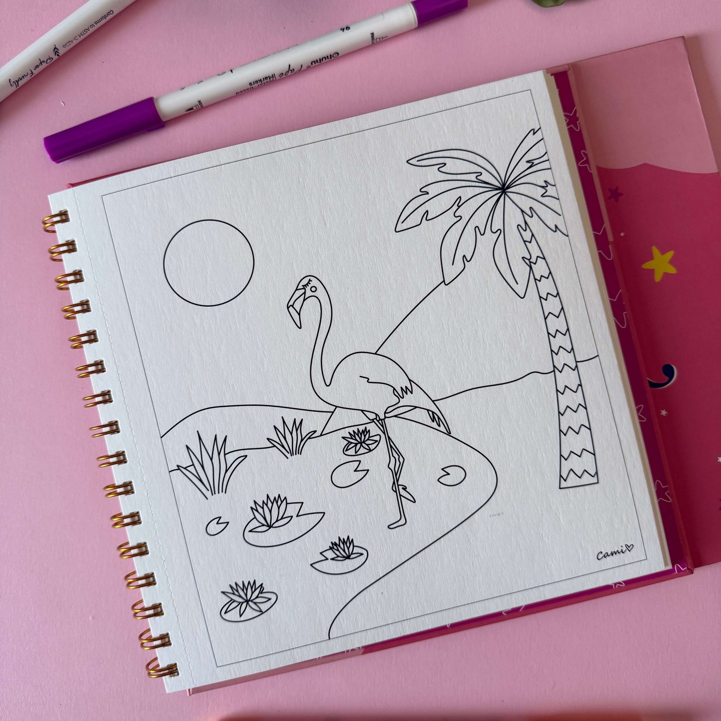 Libro para colorear TRAVESIA Nuevas Aventuras (Segunda parte) - Cami Rojas Letelier