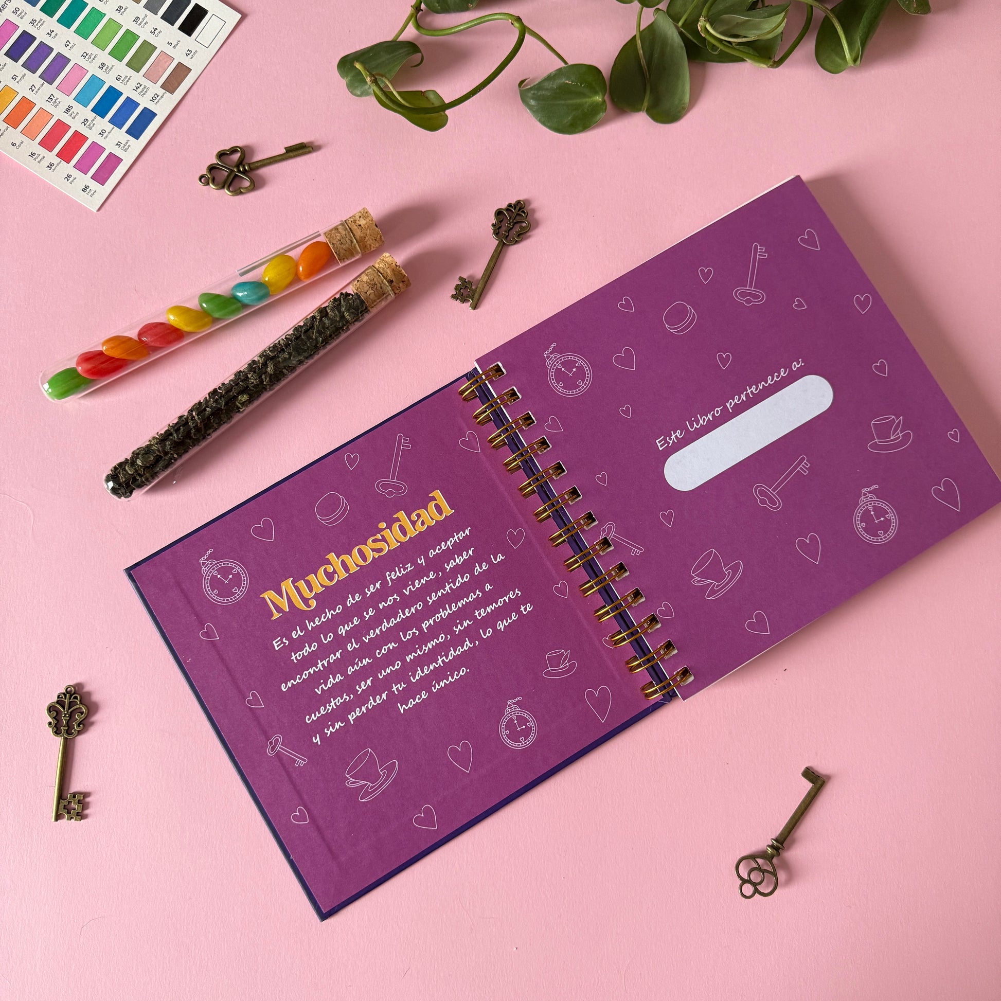 Wonderland Box - Caja regalos Muchosidad - Cami Rojas Letelier