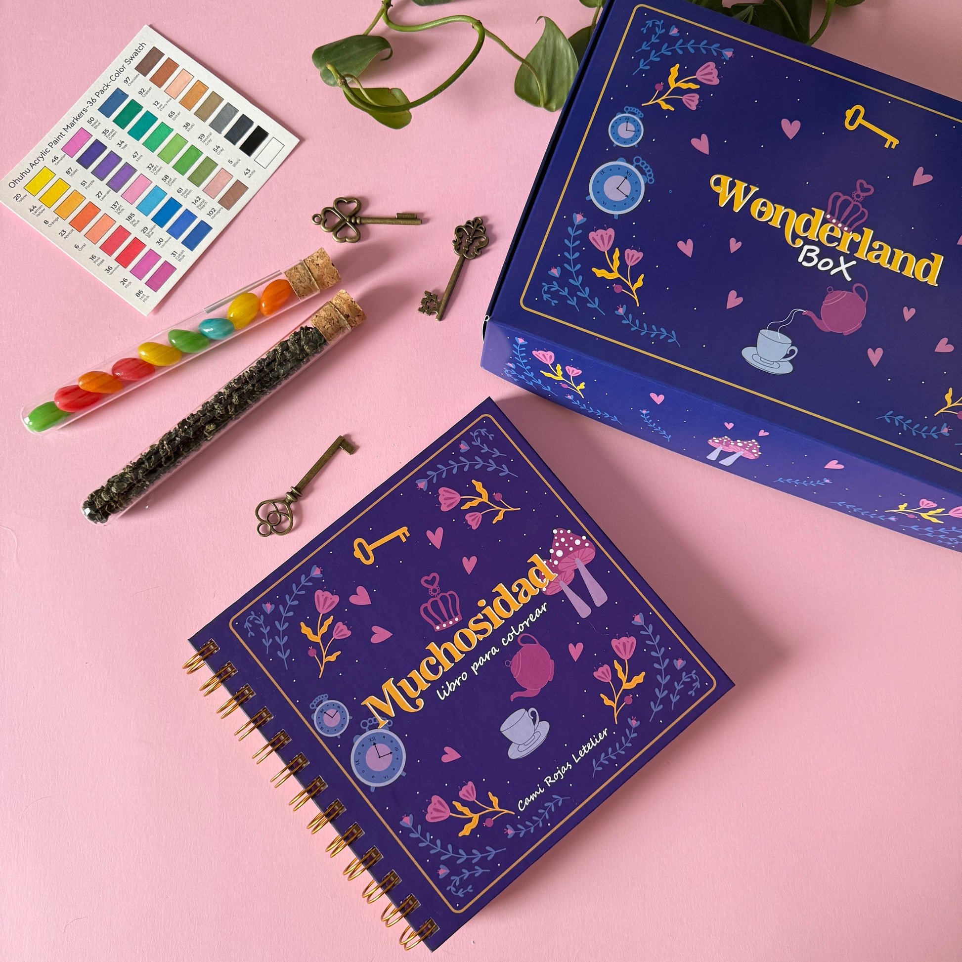 Wonderland Box - Caja regalos Muchosidad - Cami Rojas Letelier