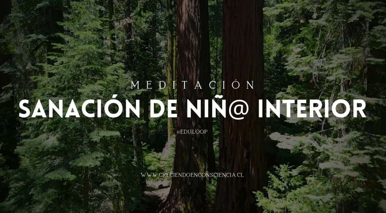 Cargar video: 